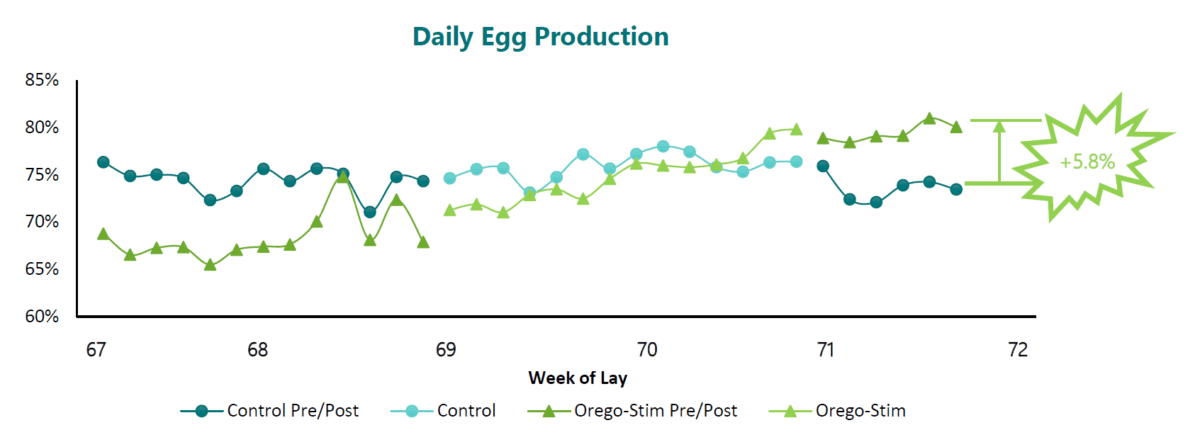 Results Graph